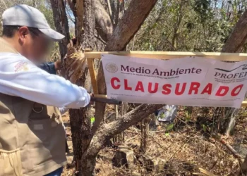 Foto: Profepa // Clausura de Profepa en un predio de la Costa sujeto a tala ilegal.