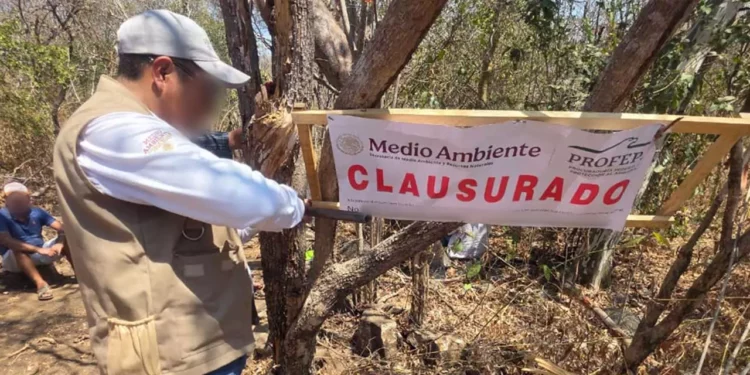 Foto: Profepa // Clausura de Profepa en un predio de la Costa sujeto a tala ilegal.