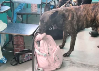 Durante la jornada también participó el binomio canino K9 como parte de la estrategia “Roky en tu escuela”.