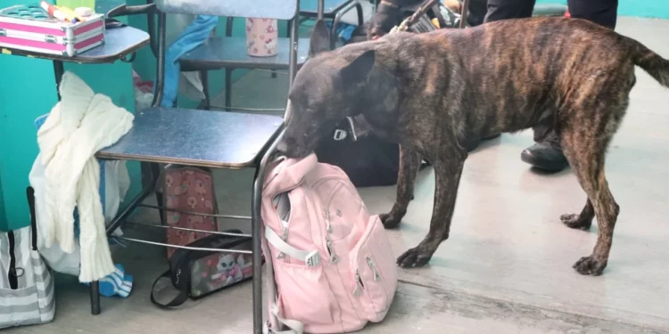 Durante la jornada también participó el binomio canino K9 como parte de la estrategia “Roky en tu escuela”.