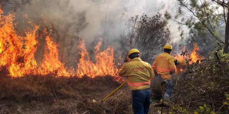 El estado de Oaxaca registró 148 incendios en un periodo de enero a abril de 2026.