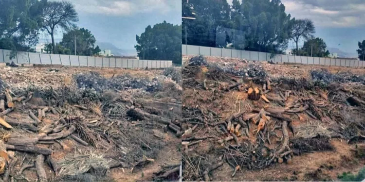 Foto: cortesía // El ecocidio al interior de lo que fuera el Hotel Misión.
