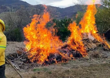 Foto: IGAVEC // Evitar incendios mediante quemas controladas, proponen autoridades municipales.