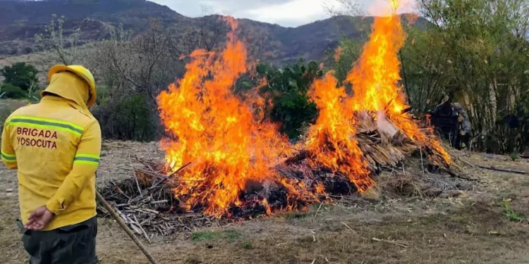 Foto: IGAVEC // Evitar incendios mediante quemas controladas, proponen autoridades municipales.