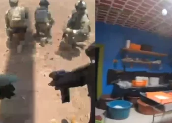 Golpe millonario al narco: destruyen cinco laboratorios clandestinos en tres estados