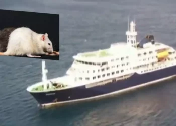 Alerta por Hantavirus en crucero MV Hondius: Suman 7 casos y el barco se dirige a España
