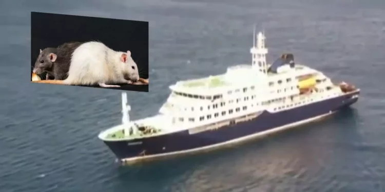 Alerta por Hantavirus en crucero MV Hondius: Suman 7 casos y el barco se dirige a España