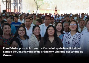 Armonización de la ley de movilidad, una demanda histórica de la entidad: diputada Tania Caballero