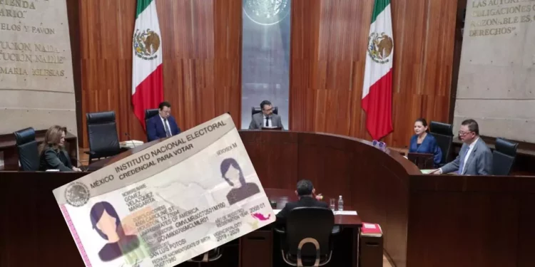 El TEPJF avala nueva credencial del INE: Así podrás incluir tu identidad indígena o afromexicana