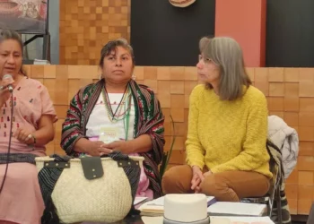 La huajuapeña María Dolores Miguel Chávez fue invitada por el FONART para participar en el encuentro.