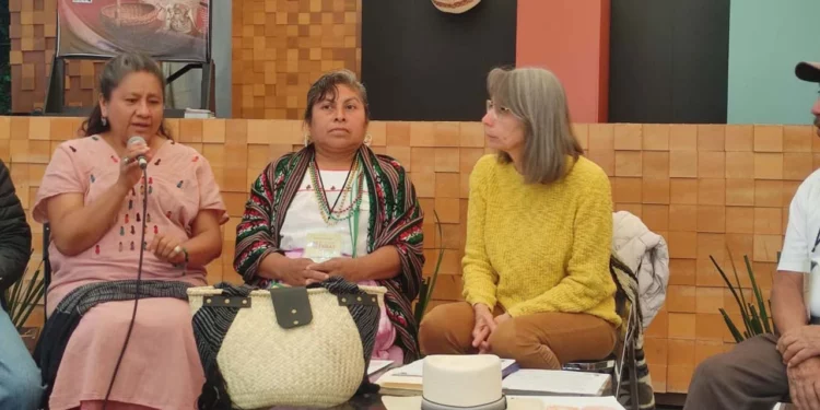 La huajuapeña María Dolores Miguel Chávez fue invitada por el FONART para participar en el encuentro.
