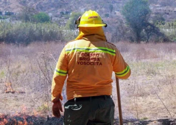 La región mixteca ocupa el segundo lugar en la provocación de este tipo de incendios.