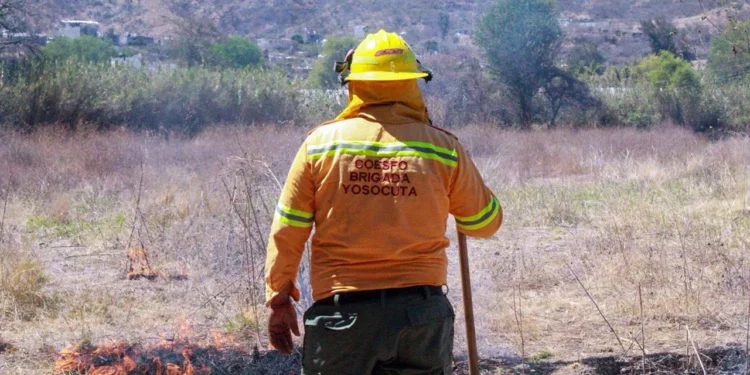 La región mixteca ocupa el segundo lugar en la provocación de este tipo de incendios.