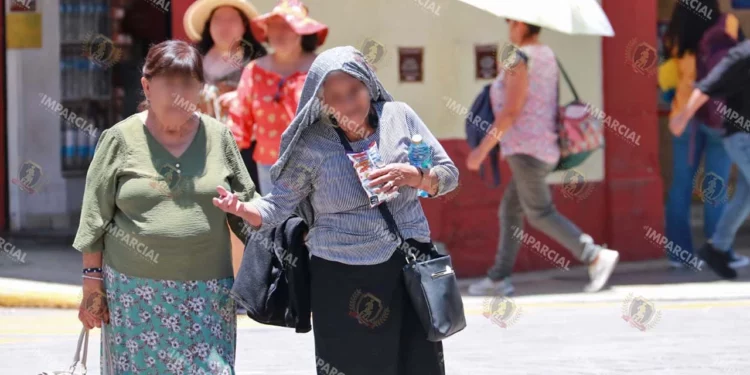 Foto: Adrián Gaytán // La violencia contra las mujeres adultas mayores es una problemática social y persistente.