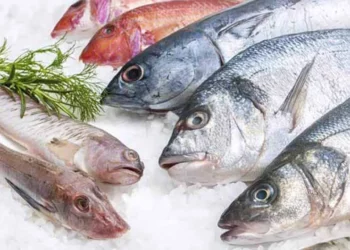 Foto: Agencias // Los ojos del pescado deben observarse brillantes y cristalinos.