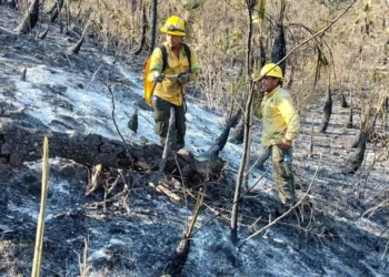 Mixtecos y voluntarios sofocaron el fuego en Santiago Tilantongo.