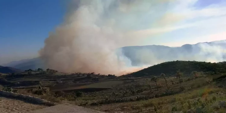Foto: redes sociales // El incendio en Santiago Tilantongo.