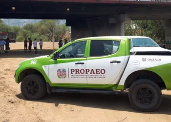 Foto: internet – ilustrativa // Camioneta de la PROPAEO.