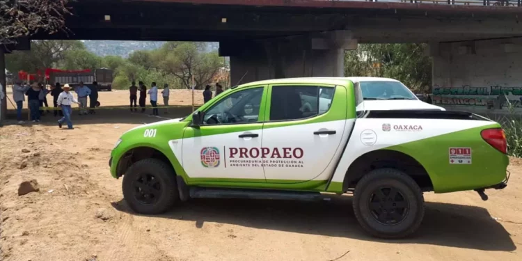 Foto: internet – ilustrativa // Camioneta de la PROPAEO.