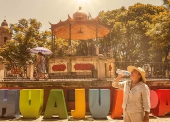 Se mantiene una constante vigilancia en todas las regiones y por supuesto en la Mixteca en su zona árida.