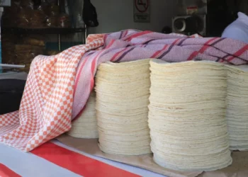 ¿Se viene el tortillazo? El Consejo Nacional de la Tortilla aclara si subirá el precio del kilo en México