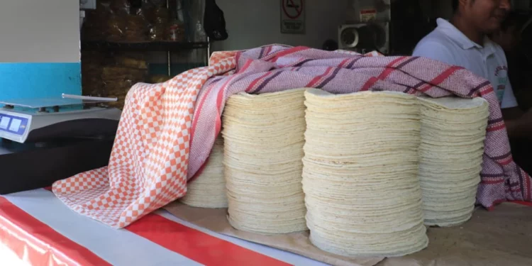 ¿Se viene el tortillazo? El Consejo Nacional de la Tortilla aclara si subirá el precio del kilo en México
