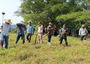 Foto: Santa María Chimalapas // Tras perder juicio agrario, comuneros de Santa María Chimalapas inician el brecheo de sus límites con Petapa.