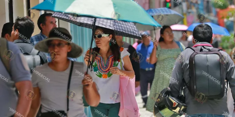 Foto: Adrián Gaytán // Demandan poner atención a signos de alarma.