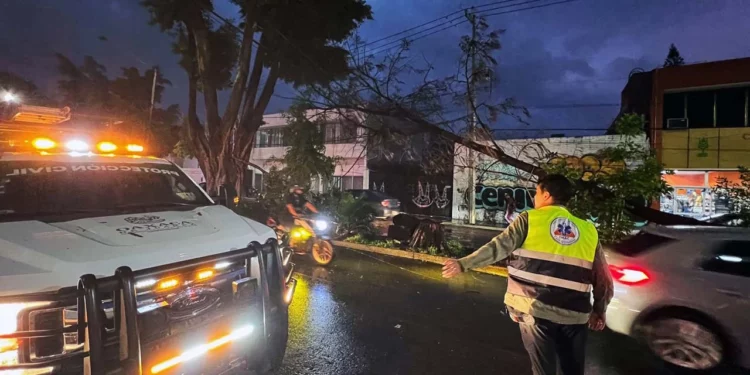 Reporta 4 árboles caídos y cortes de energía por lluvia