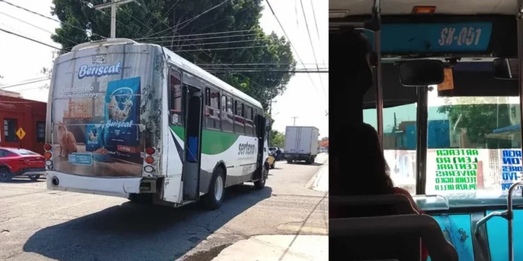 “¡Maneja como loco!” Usuarios denuncian conducción temeraria y actitud agresiva en transporte urbano de Oaxaca