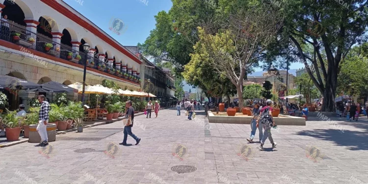 Foto: Lisbeth Mejía Reyes // Imagen inusual, disfrutar el zócalo capitalino limpio o libre de ambulantes.