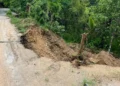 Tormenta tropical Boris deja derrumbes y deslaves en carreteras de Oaxaca