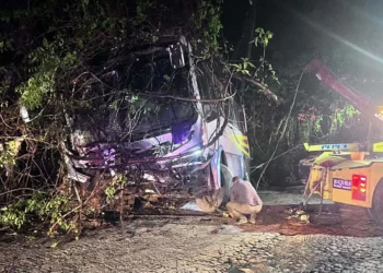 El autobús de la empresa Tlaxcala Apizaco Huamantla quedó varado entre la vegetación a la orilla de la carretera local 178.