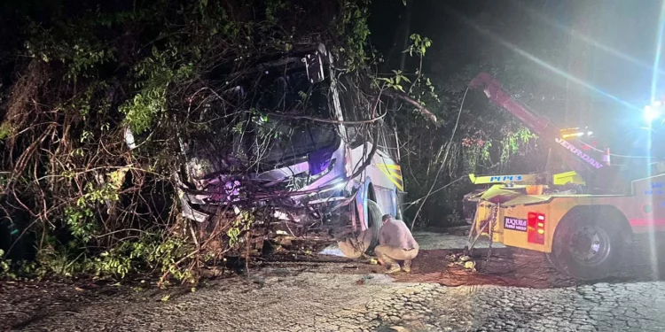 El autobús de la empresa Tlaxcala Apizaco Huamantla quedó varado entre la vegetación a la orilla de la carretera local 178.