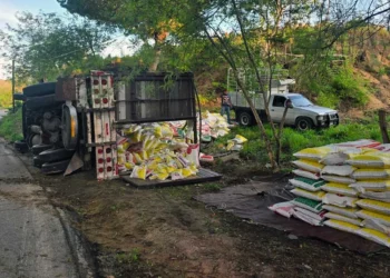 El camión Ford Aeromax quedó recostado sobre la maleza a un costado de la Costera 200.