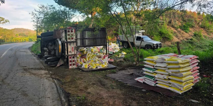 El camión Ford Aeromax quedó recostado sobre la maleza a un costado de la Costera 200.
