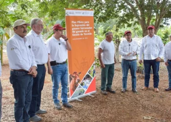 Foto: Gobierno de Oaxaca // En Oaxaca, incapacidad para contener al gusano barrenador.