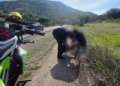La joven de 22 años fue atendida por paramédicos.