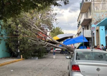 Foto: Gobierno de Oaxaca // Uno a uno han ido cayendo los gigantes en la capital. La burocracia solo hace recuento del desastre.