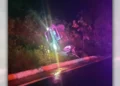 El pesado camión quedó detenido entre la vegetación de Putla.