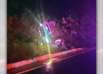 El pesado camión quedó detenido entre la vegetación de Putla.