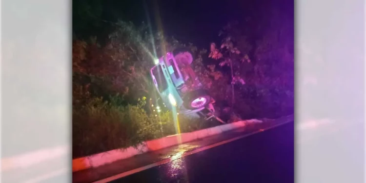 El pesado camión quedó detenido entre la vegetación de Putla.