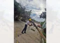 Protección Civil coordina el retiro de un pesado tronco que bloqueaba el paso vehicular.