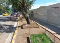 Foto: Lisbeth Mejía // Sin freno, la apropiación y el daño al espacio público por parte de la empresa favorita de la 4T.