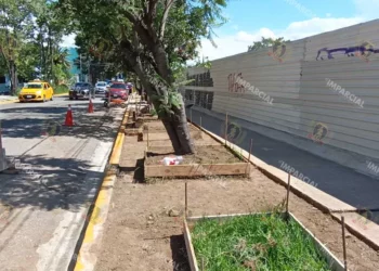 Foto: Lisbeth Mejía // Sin freno, la apropiación y el daño al espacio público por parte de la empresa favorita de la 4T.