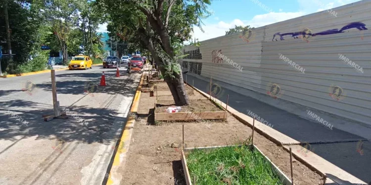 Foto: Lisbeth Mejía // Sin freno, la apropiación y el daño al espacio público por parte de la empresa favorita de la 4T.