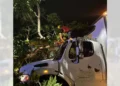 Así quedó el camión tras colisionar y derribar el ejemplar tipo primavera.