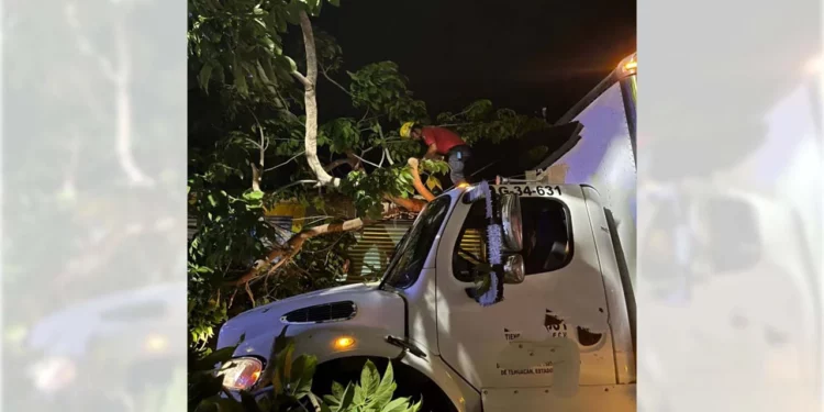Así quedó el camión tras colisionar y derribar el ejemplar tipo primavera.