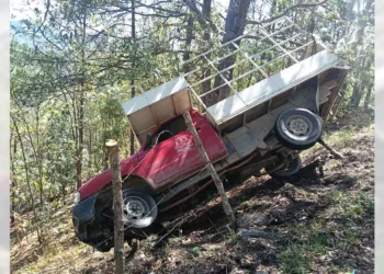 La camioneta de la mueblería “El Ángel” terminó entre los matorrales tras quedarse sin frenos.