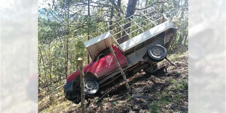 La camioneta de la mueblería “El Ángel” terminó entre los matorrales tras quedarse sin frenos.